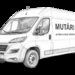 Firma de mutari